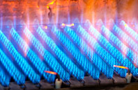 Trawscoed gas fired boilers